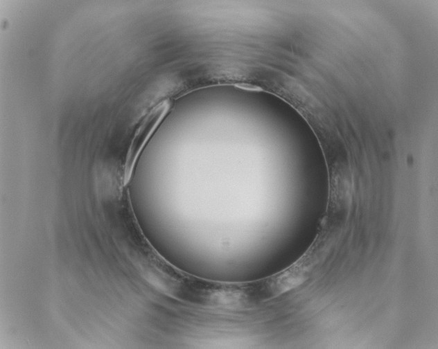 X0000089420168200706291042