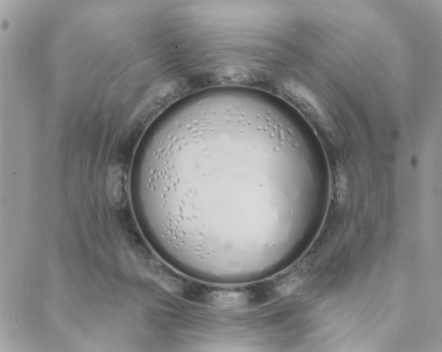 X0000089420169200706291042