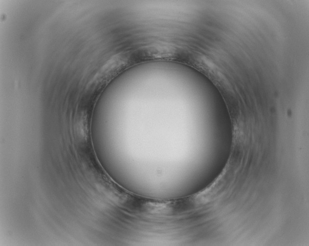 X0000089420170200706291042