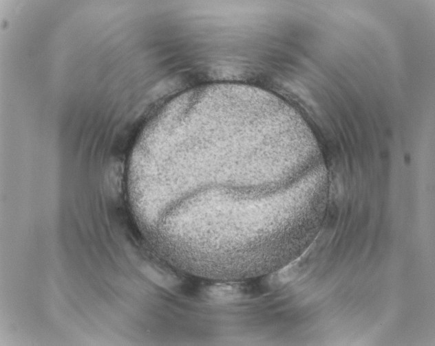 X0000089420171200706291042