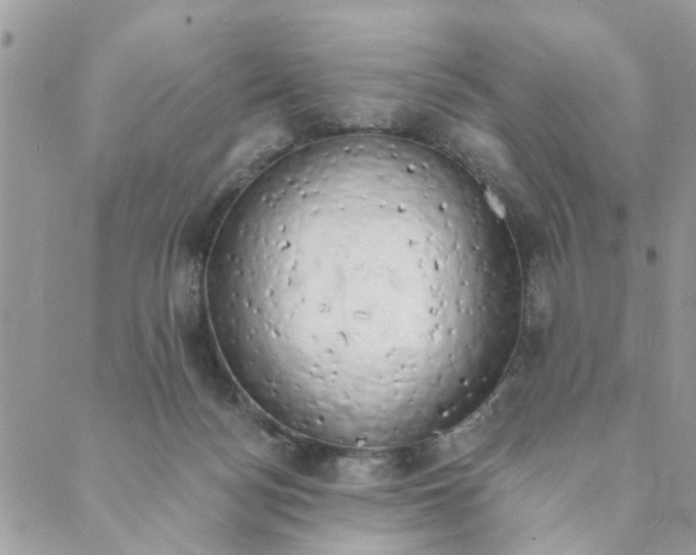 X0000089420172200706291042