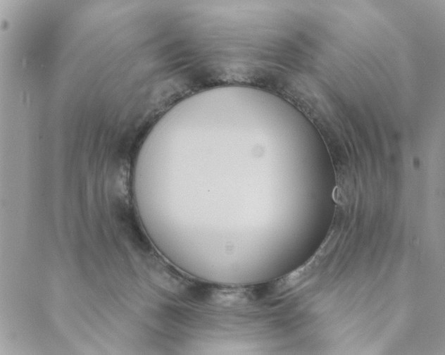 X0000089420175200706291042