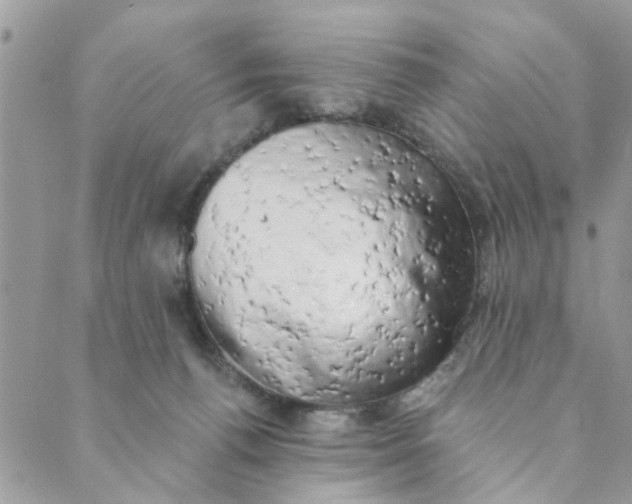 X0000089420176200706291042