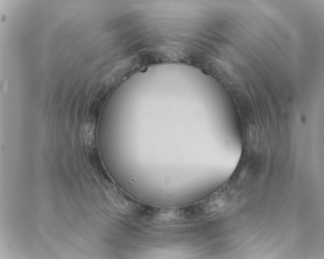 X0000089420177200706291042