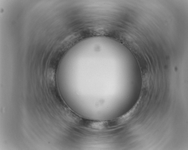 X0000089420178200706291042