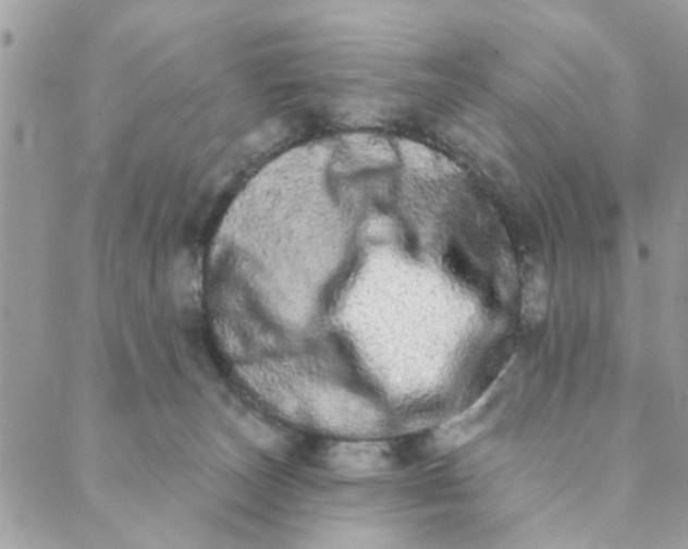 X0000089420179200706291042