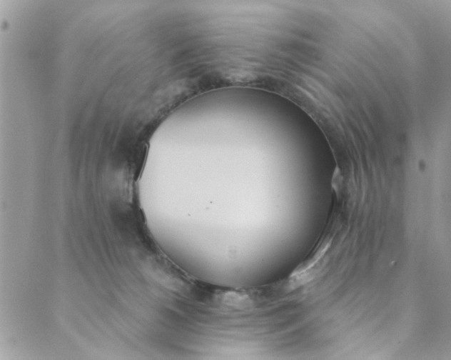 X0000089420180200706291042