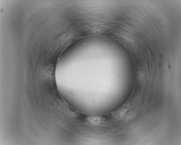 X0000089420181200706291042