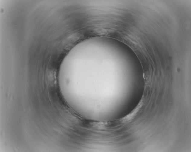 X0000089420182200706291042