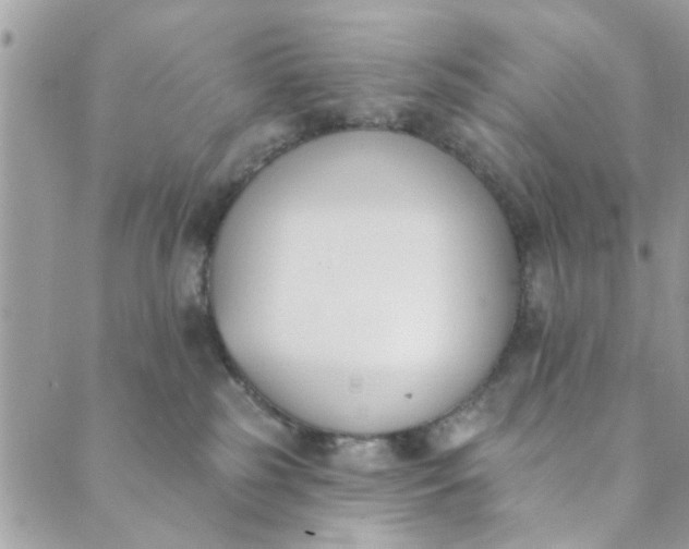 X0000089420185200706291042