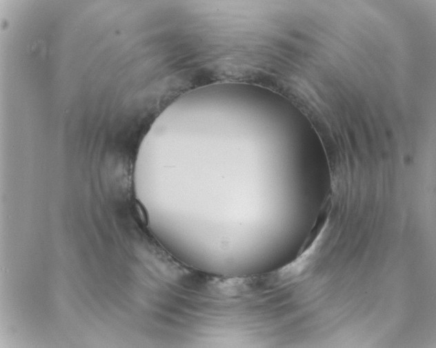 X0000089420186200706291042