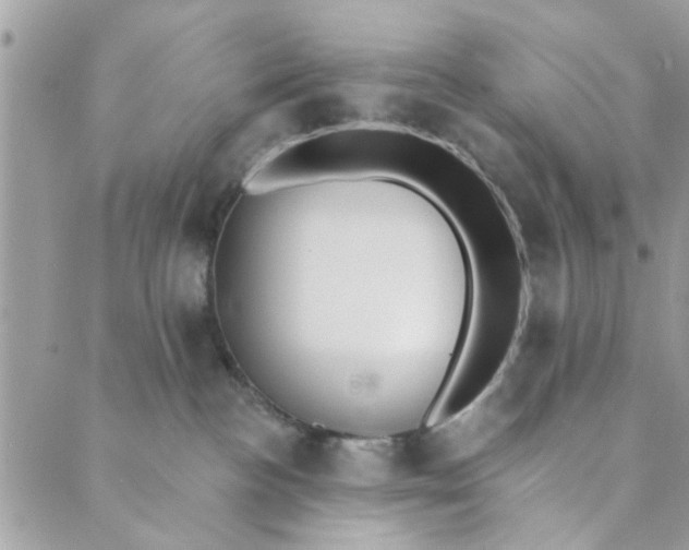 X0000089420188200706291042