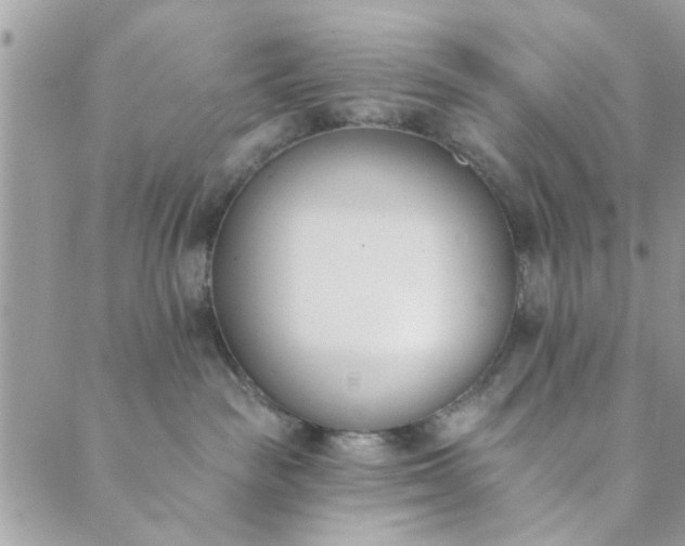 X0000089420189200706291042