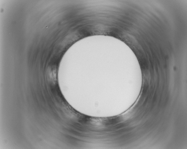 X0000089420190200706291042