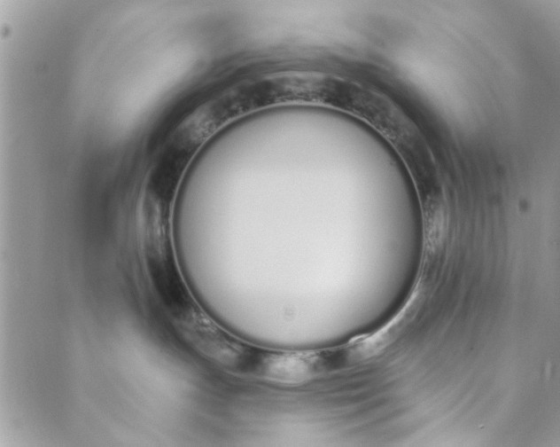 X0000089420191200706291042