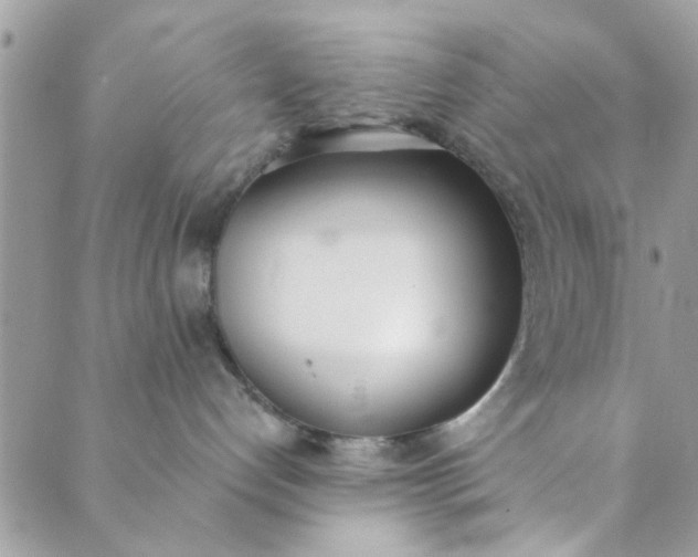 X0000089420192200706291042