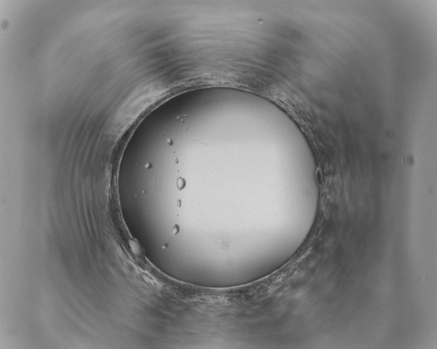 X0000089420194200706291041