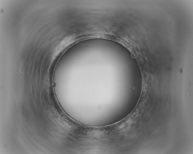 X0000089420198200706291041