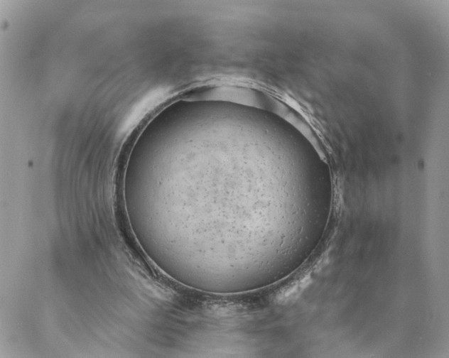 X0000089420199200706291041