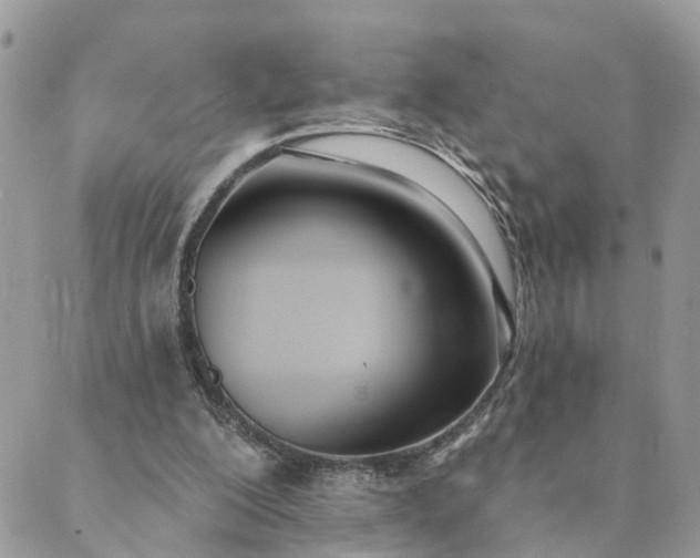 X0000089420200200706291041