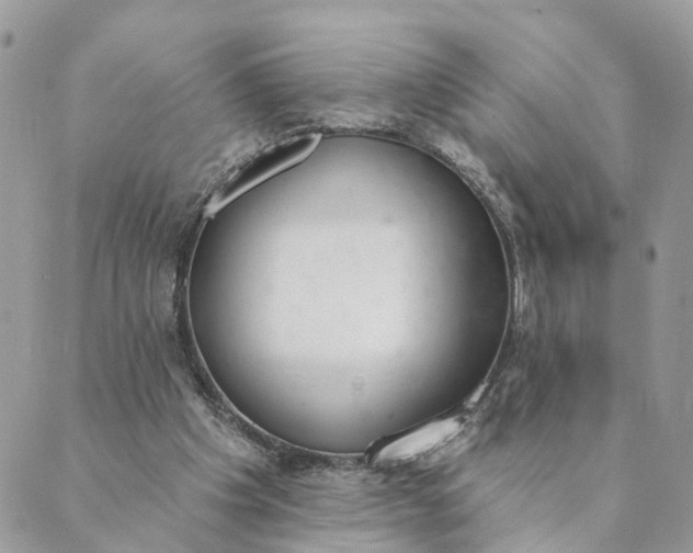 X0000089420201200706291041