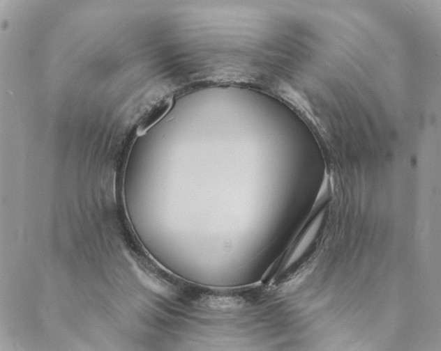 X0000089420205200706291041