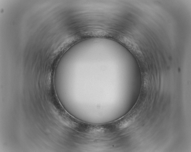 X0000089420206200706291041