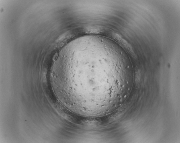 X0000089420209200706291041