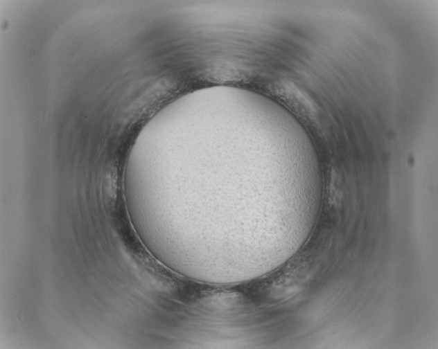 X0000089420210200706291041