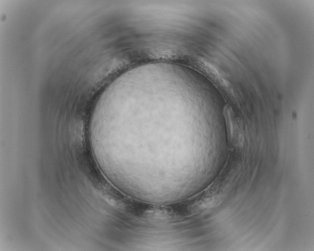 X0000089420211200706291041