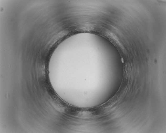 X0000089420212200706291041