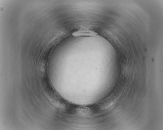 X0000089420215200706291041