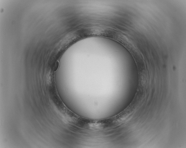 X0000089420216200706291041