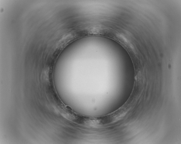 X0000089420217200706291041