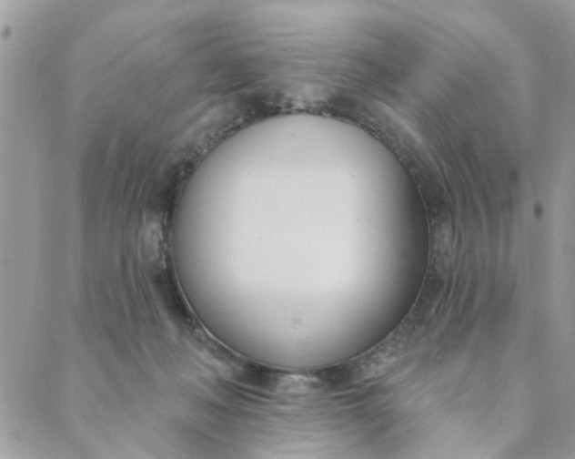 X0000089420222200706291041