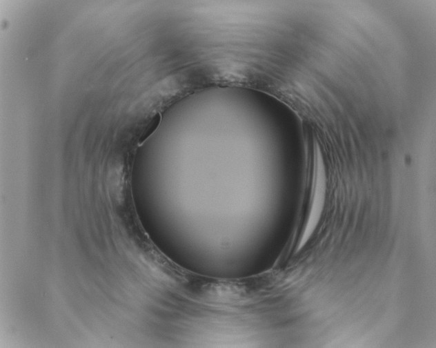 X0000089420223200706291041