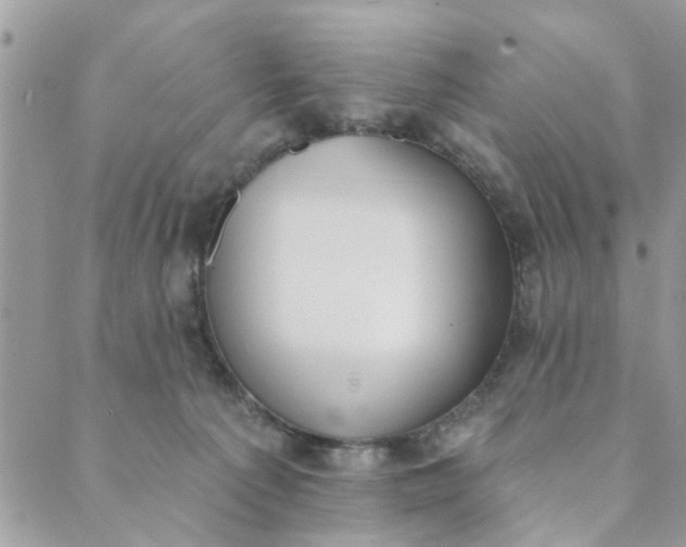 X0000089420225200706291041