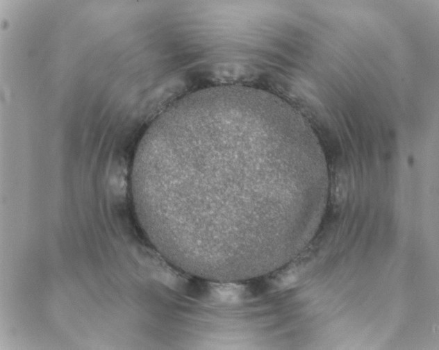 X0000089420226200706291041