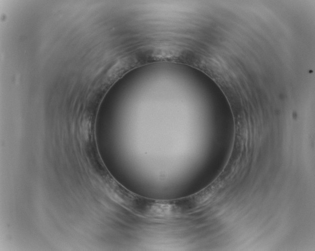 X0000089420227200706291041