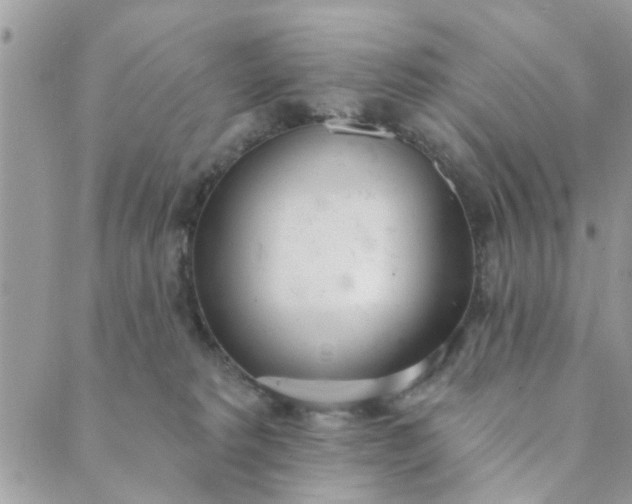 X0000089420229200706291041