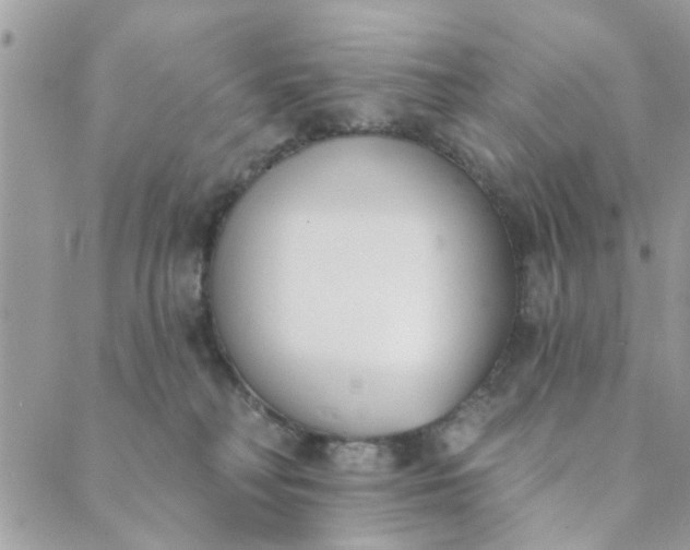 X0000089420230200706291041