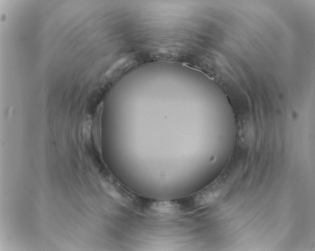 X0000089420231200706291041