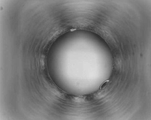 X0000089420232200706291041