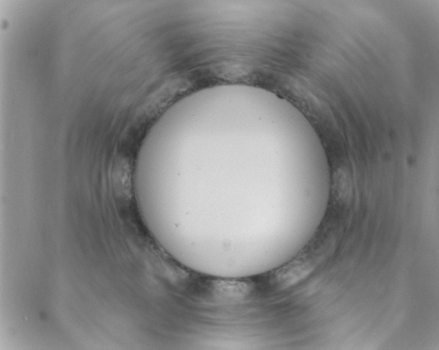 X0000089420234200706291041