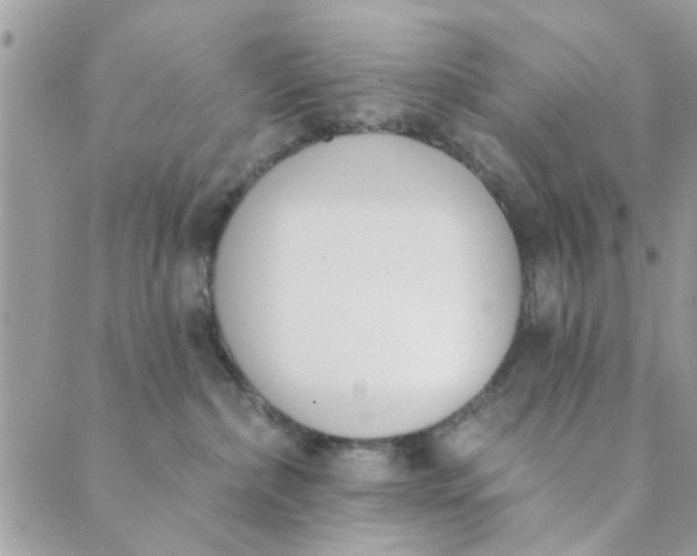 X0000089420236200706291040