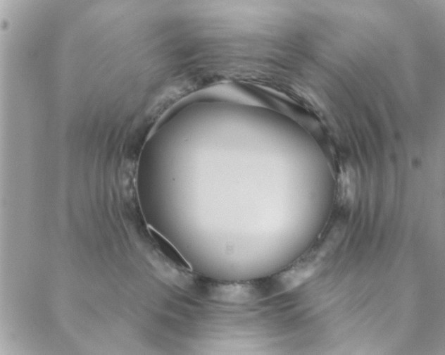 X0000089420237200706291040