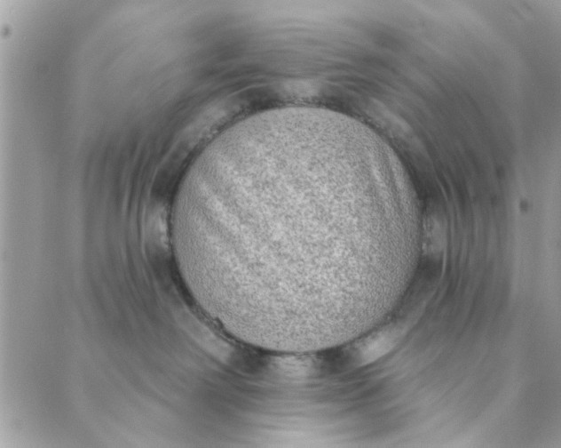 X0000089420238200706291040