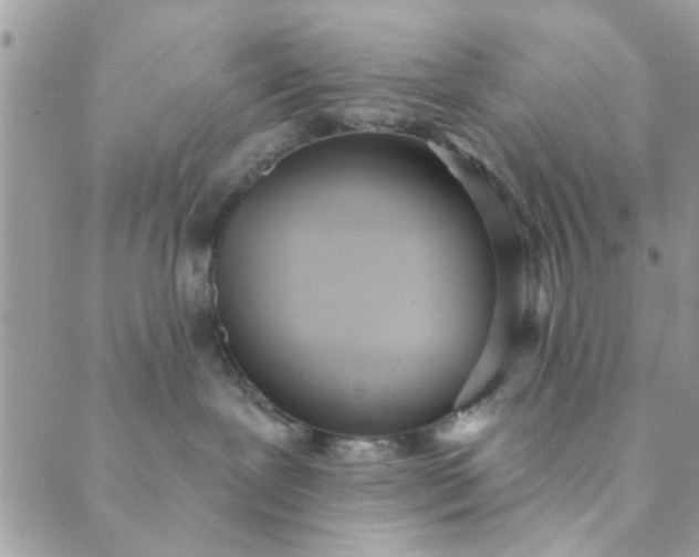 X0000089420239200706291040