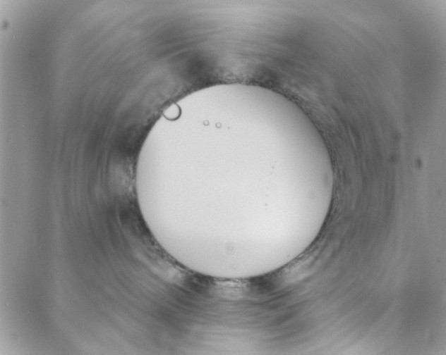 X0000089420240200706291040