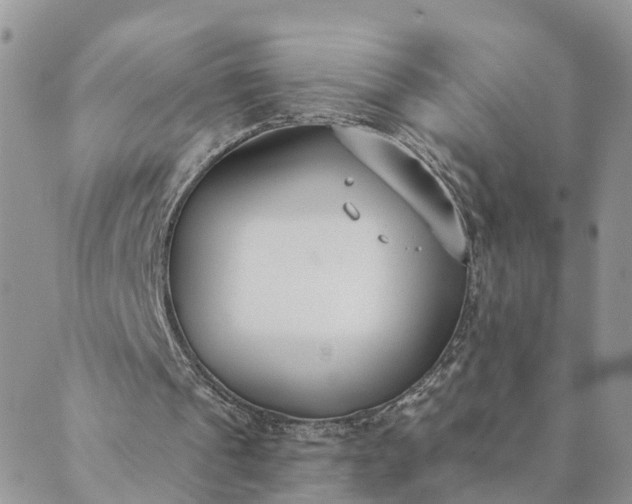 X0000089420241200706291040